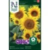 Lav Solsikke 'Sunspot' Helianthus Annuus 'Sunspot' 2 Lav Solsikke 'Sunspot' Helianthus Annuus 'Sunspot' -Osmoz Naturens Butik p34013 37345 helianthus annuus sunspot e5a3