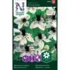 Jomfru I Det Grønne 'African Bride' Nigella Hispanica 'African Bride' 2 Jomfru I Det Grønne 'African Bride' Nigella Hispanica 'African Bride' -Osmoz Naturens Butik p34018 37349 nigella hispanica african bride b727