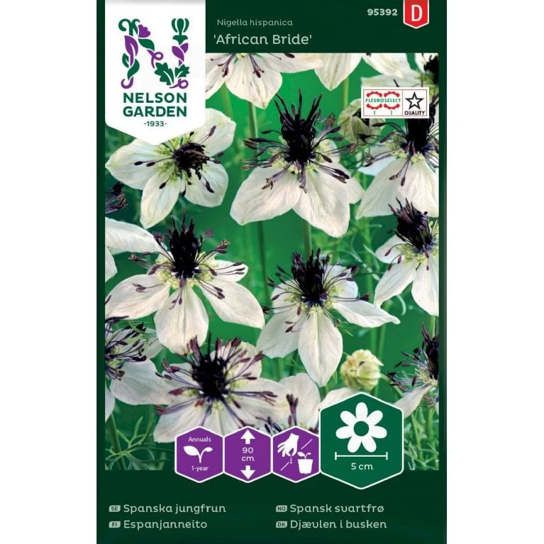 Jomfru I Det Grønne 'African Bride' Nigella Hispanica 'African Bride' 3 Jomfru I Det Grønne 'African Bride' Nigella Hispanica 'African Bride'