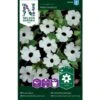 Susanne Med Det Sorte øje 'Alba Oculata' Thunbergia Alata 'Alba Oculata' 1 Susanne Med Det Sorte øje 'Alba Oculata' Thunbergia Alata 'Alba Oculata' -Osmoz Naturens Butik p34026 37356 thunbergia alata alba oculata 3b0b