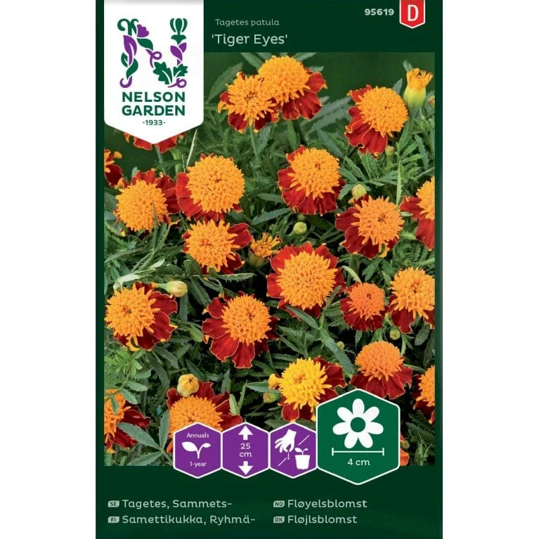 Fløjlsblomst 'Tiger Eyes' Tagetes Patula 'Tiger Eyes' 3 Fløjlsblomst 'Tiger Eyes' Tagetes Patula 'Tiger Eyes'