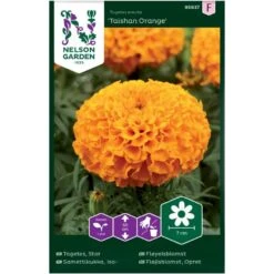 Stor Fløjlsblomst 'Taishan Orange' Tagetes Erecta 'Taishan Orange'