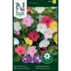 Vidunderblomst Mix Mirabilis Jalapa L. -Osmoz Naturens Butik p34046 37373 mirabilis jalapa l 73d3