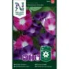 Purpurpragtsnerle 'Bohemian Shades' Ipomoea Purpurea 'Bohemian Shades' -Osmoz Naturens Butik p34058 37381 ipomoea purpurea bohemian shades 95d5
