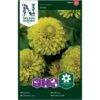 Frøkenhat 'Envy' Zinnia Elegans 'Envy' -Osmoz Naturens Butik p34062 37383 zinnia elegans envy 4a47