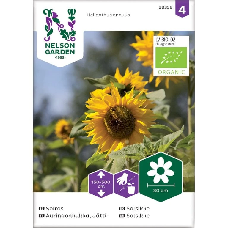 Høj Kæmpe Solsikke Øko Helianthus Annuus Frøpose, Antal Pr. Pakke, Ca. 25 Stk. 3 Høj Kæmpe Solsikke Øko Helianthus Annuus Frøpose, Antal Pr. Pakke, Ca. 25 Stk.