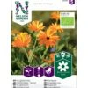 Morgenfrue Øko Calendula Officinalis Frøpose, Antal Pr. Pakke, Ca. 15 Stk. 2 Morgenfrue Øko Calendula Officinalis Frøpose, Antal Pr. Pakke, Ca. 15 Stk. -Osmoz Naturens Butik p34124 54709 calendula officinalis c203
