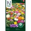 Frøkenhat 'Takii´s Choice' Zinnia Elegans 'Takii's Choice' -Osmoz Naturens Butik p34623 30166 zinnia elegans 6f51