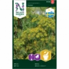 Skærmdild 'Como' Original Svensk Anethum Graveolens L. 'Como' 1 Skærmdild 'Como' Original Svensk Anethum Graveolens L. 'Como' -Osmoz Naturens Butik p34768 34749 anethum graveolens l como c08d