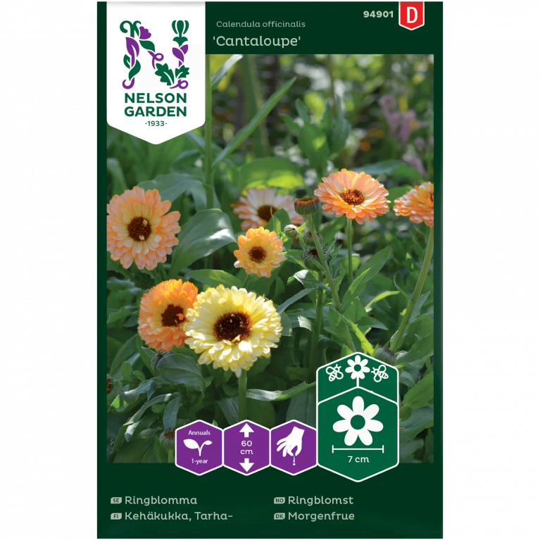 Morgenfrue 'Cantaloupe' Calendula Officinalis 'Cantaloupe' 3 Morgenfrue 'Cantaloupe' Calendula Officinalis 'Cantaloupe'