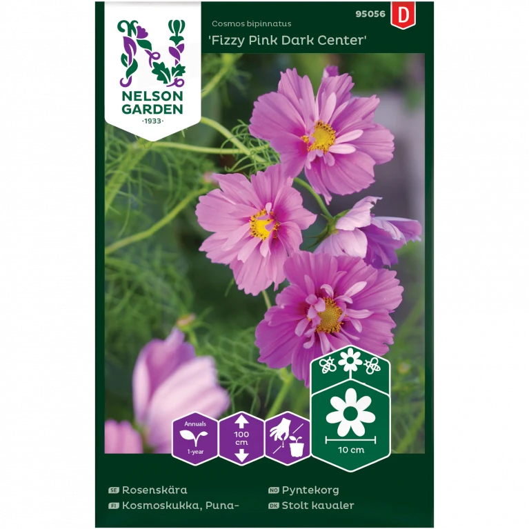 Stolt Kavaler 'Fizzy Pink Dark Center' Cosmos Bipinnatus 'Fizzy Pink Dark Center' 3 Stolt Kavaler 'Fizzy Pink Dark Center' Cosmos Bipinnatus 'Fizzy Pink Dark Center'