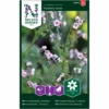 Kinesisk Hundetunge 'Mystery Rose' Cynoglossum Amabile 'Mystery Rose' 2 Kinesisk Hundetunge 'Mystery Rose' Cynoglossum Amabile 'Mystery Rose' -Osmoz Naturens Butik p34781 34762 cynoglossum amabile mystery rose 6d1f