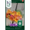 Californisk Guldvalmue 'Candy' Mix Eschscholzia Californica 'Candy' Mix -Osmoz Naturens Butik p34782 34763 eschscholzia californica candy mix c459