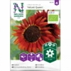 Solsikke 'Velvet Queen' Øko Helianthus Annuus 'Velvet Queen' Frøpose, Antal Pr. Pakke, Ca. 20 Stk. -Osmoz Naturens Butik p34784 34765 helianthus annuus velvet queen c4a9