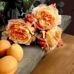 'Capri'® Rosa X 'Capri'® (Storblomstrende) A-Kvalitet,- Barrods Roser Min. 3 Grene -Osmoz Naturens Butik p35323 53968 rosa x capri storblomstrende 595a