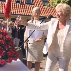 'Birthe Kjær™ Renaissance'® Rosa X 'Birthe Kjær™ Renaissance'® (Renaissancerose) A-Kvalitet,- Barrods Roser Min. 3 Grene -Osmoz Naturens Butik p35345 52118 rosa x birthe kjaer renaissance renaissancerose 876e