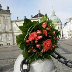 'Prinsesse Marie' Rosa X 'Prinsesse Marie' (Storblomstrende) A-Kvalitet,- Barrods Roser Min. 3 Grene -Osmoz Naturens Butik p5265 51362 rosa x prinsesse marie storblomstrende 75a7