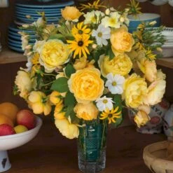 'Charles Darwin'™ Rosa X 'Charles Darwin'™ (Engelsk Rose) A-Kvalitet,- Barrods Roser Min. 3 Grene -Osmoz Naturens Butik p5351 52959 rosa x charles darwin engelsk rose b2dc